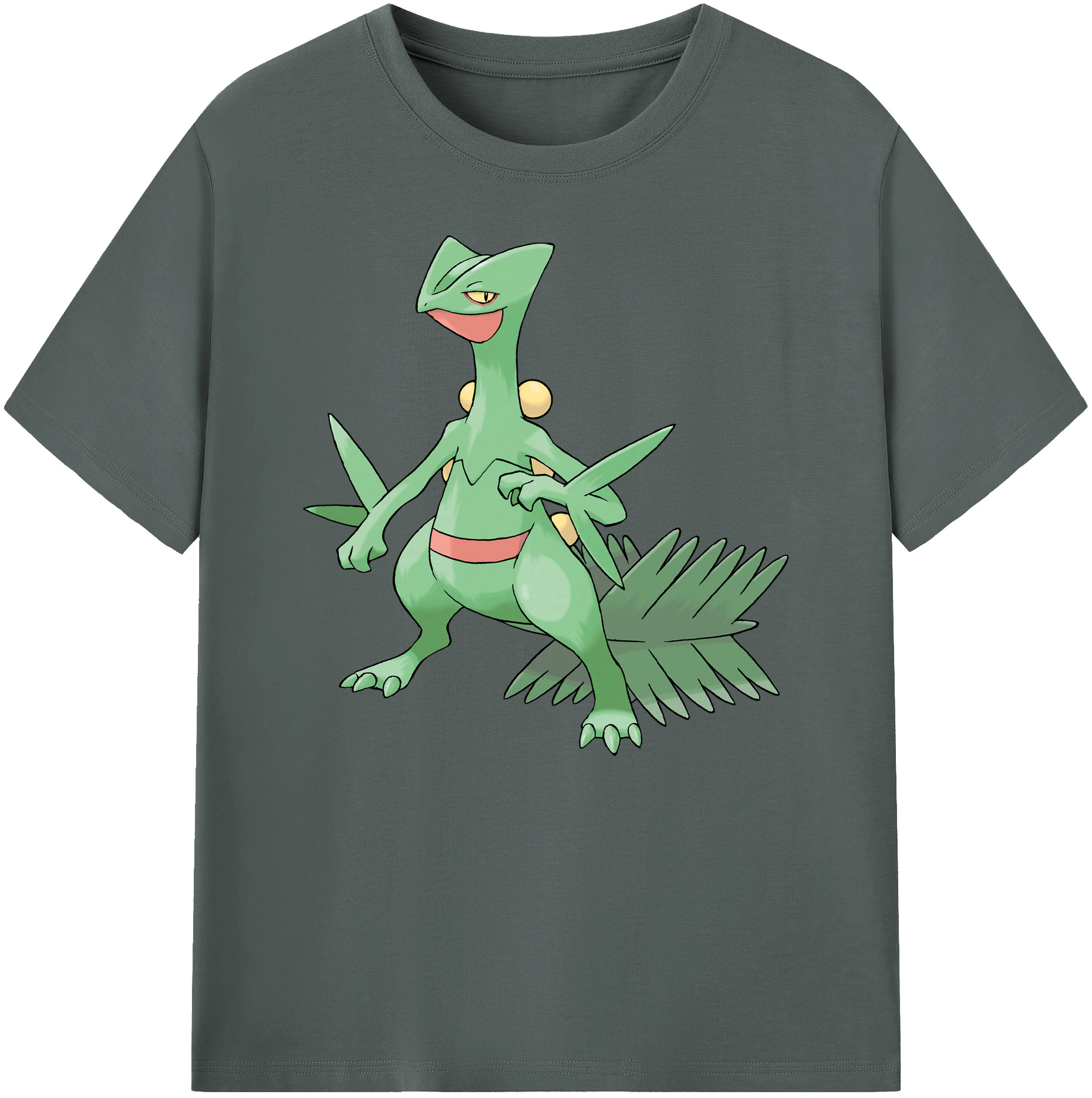 （画像用） ポケットモンスター Pokémon 綿100％ メンズ半袖Tシャツ｜肌触りやわらか＆通気性